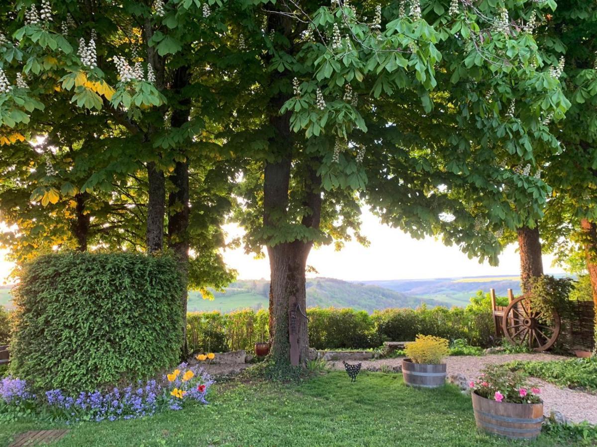 Bed and Breakfast La Flavignienne Flavigny-sur-Ozerain Exteriér fotografie
