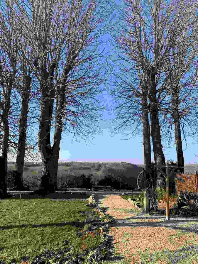 Bed and Breakfast La Flavignienne Flavigny-sur-Ozerain Exteriér fotografie